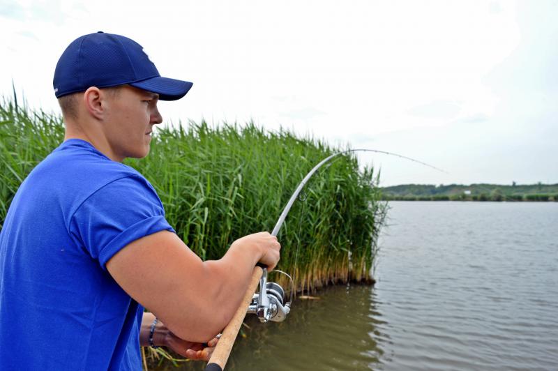 Удилище фидерное Shimano Feeder Beastmaster DX