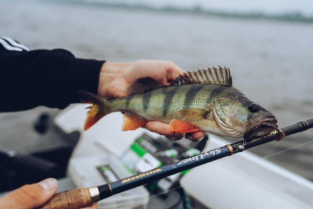 Спиннинг Favorite Skyline TZ