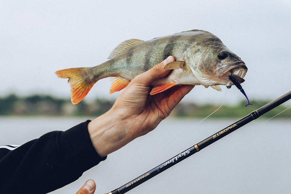 Спиннинг Favorite Skyline TZ 