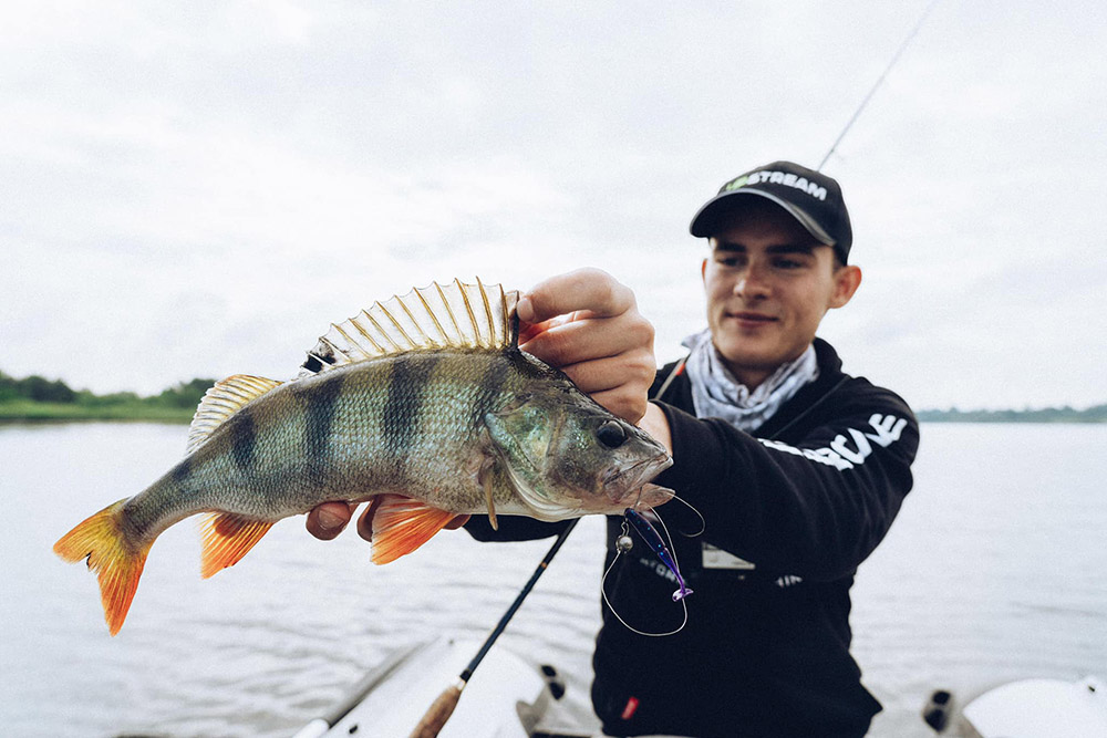 Спиннинг Favorite Skyline TZ 
