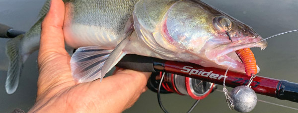 Дизайн спиннинга ZEMEX SPIDER Z-10