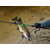 Спінінг Select Reflex 802MH / 2.44m / 7-32g / Fast, Модель: 2.44m 7-32g, фото , изображение 8
