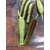 Силікон Select Snack 2.5" #242 (6 шт / уп), Довжина силікону: 2.5" (6.1 см), Колір силікону: 242, фото , изображение 8