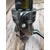 Котушка Shimano Twin Power FE 4000 PG (2024), підшип: 9+1, перед. число: 4.4:1, Розмір шпулі: 4000PG, фото , изображение 19