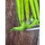 Силікон Select Freek Slim 4" #241 (5 шт / уп), Довжина силікону: 4.0" (10.16 см), Колір силікону: 241, фото , изображение 11