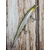 Воблер X-Fish Bigboy 150SP 150mm 23g #014 (0.5-1.5m), Розмір/Вага: 150mm/23g, Колір воблера: 014, фото , изображение 5