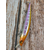 Воблер X-Fish Bigboy 150SP 150mm 23g #118 (0.5-1.5m), Розмір/Вага: 150mm/23g, Колір воблера: 118, фото , изображение 7