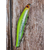 Воблер ZipBaits Orbit 110 SP, 110mm 16.5g #996 (0.8-1.2m), Розмір/Вага: 110мм/16.5г, Колір воблера: 996, фото , изображение 9