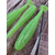 Силикон Keitech Swing Impact FAT 6.8" (3 шт/уп),, цвет: ea#19 electric chart shad, Длина силикона: 6.8" (17.3 см), Расцветка силикона: EA#19 Electric Chart Shad, фото , изображение 7