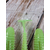 Силикон Keitech Swing Impact FAT 6.8" (3 шт/уп),, цвет: ea#19 electric chart shad, Длина силикона: 6.8" (17.3 см), Расцветка силикона: EA#19 Electric Chart Shad, фото , изображение 8