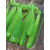 Силікон Keitech Swing Impact 2" (12 шт/упак), колір:424 lime chartreuse, Довжина силікону: 2" (5.1 см), Колір силікону: 424 Lime Chartreuse, фото , изображение 7