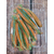 Силикон Keitech Easy Shiner 2" (12 шт/упак), цвет: pal#11 rotten carrot, Длина силикона: 2" (5.1 см), Расцветка силикона: PAL#11 Rotten Carrot, фото , изображение 6