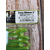 Силикон Keitech Easy Shiner 2" (12 шт/упак), цвет:424 lime chartreuse, Длина силикона: 2" (5.1 см), Расцветка силикона: 424 Lime Chartreuse, фото , изображение 5