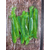 Силикон Keitech Easy Shiner 2" (12 шт/упак), цвет:424 lime chartreuse, Длина силикона: 2" (5.1 см), Расцветка силикона: 424 Lime Chartreuse, фото , изображение 7