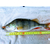 Силікон Select Easy Shad 5" #203 — їстівний віброхвіст для судака та щуки (5 шт/упак), Довжина силікону: 5" (12.7 см), Колір силікону: 203, фото , изображение 13