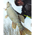 Спиннинг Select Zander ZND-702M 2.13m 6-24g Ex.Fast, Модель: 2.13m 6-24g, фото , изображение 11