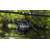 Котушка Shimano Power Aero 14000 XTC 8+1BB, фото , изображение 7