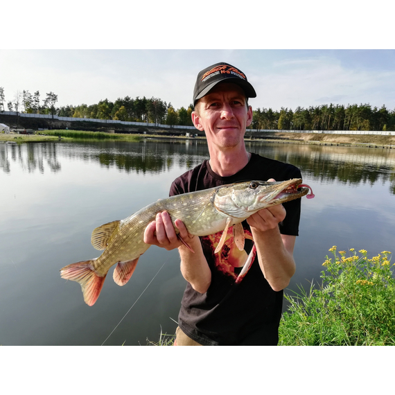 Силікон Select Easy Shad 5" #203 — їстівний віброхвіст для судака та щуки (5 шт/упак), Довжина силікону: 5" (12.7 см), Колір силікону: 203, фото , изображение 12