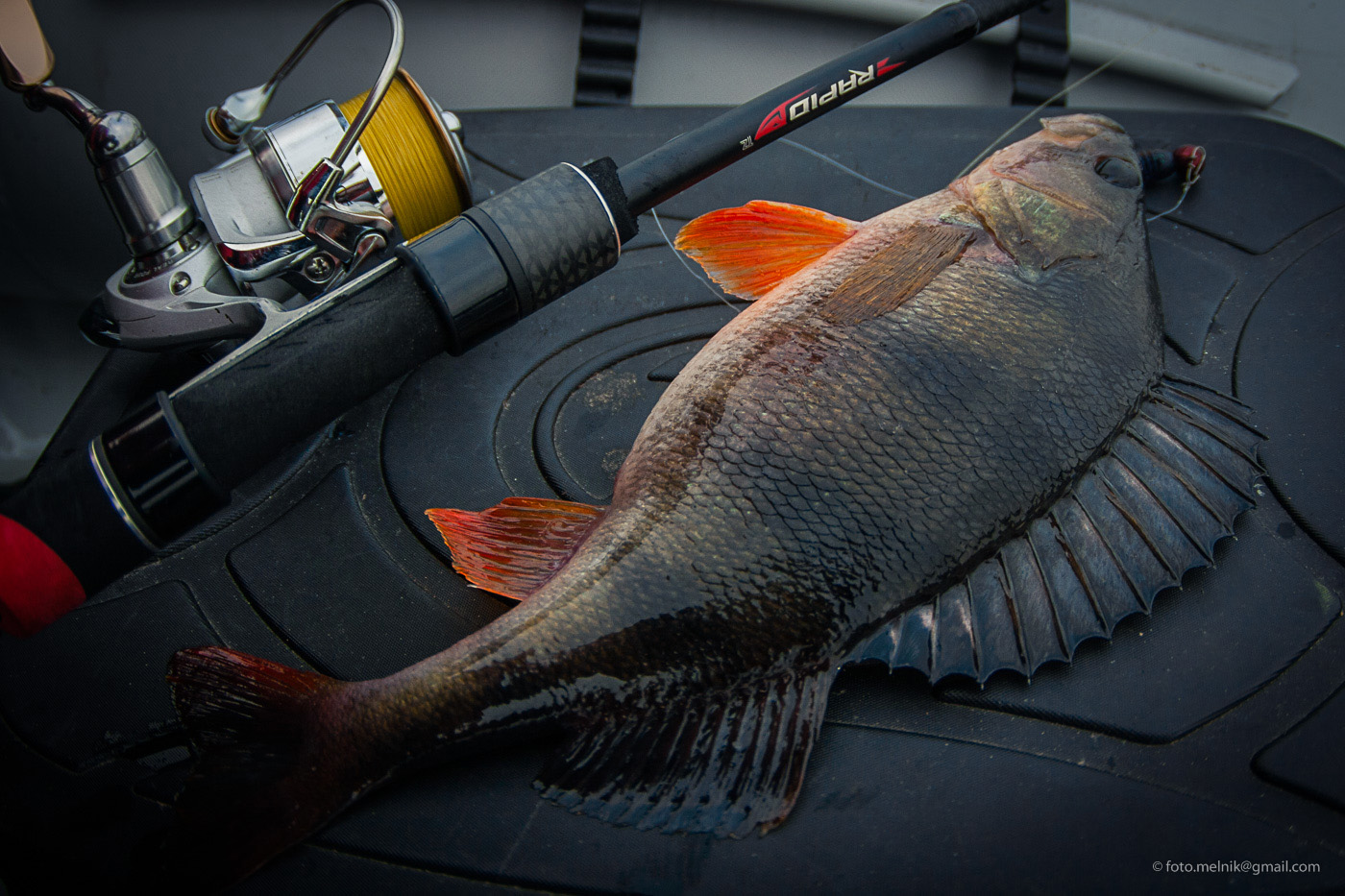 Спиннинг FAVORITE RAPID