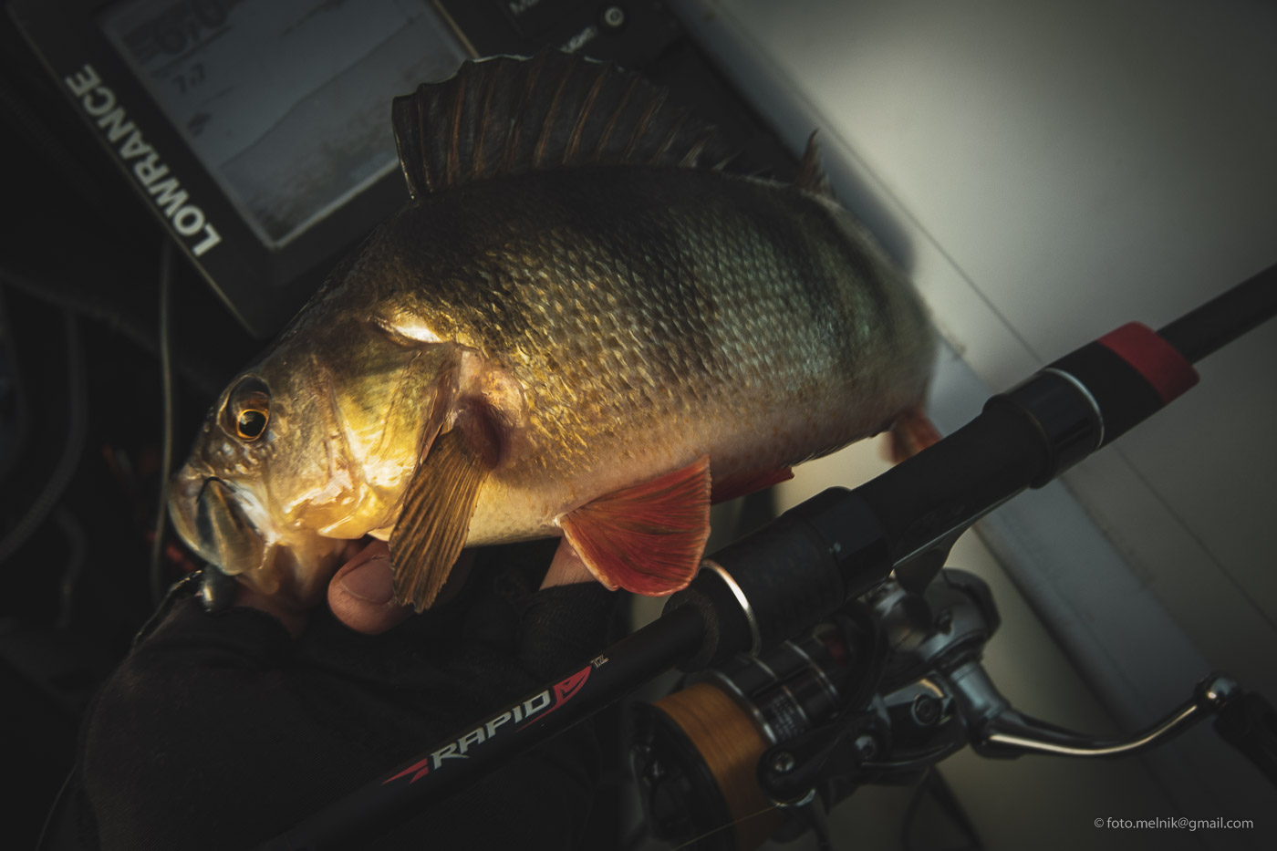 Спиннинг FAVORITE RAPID