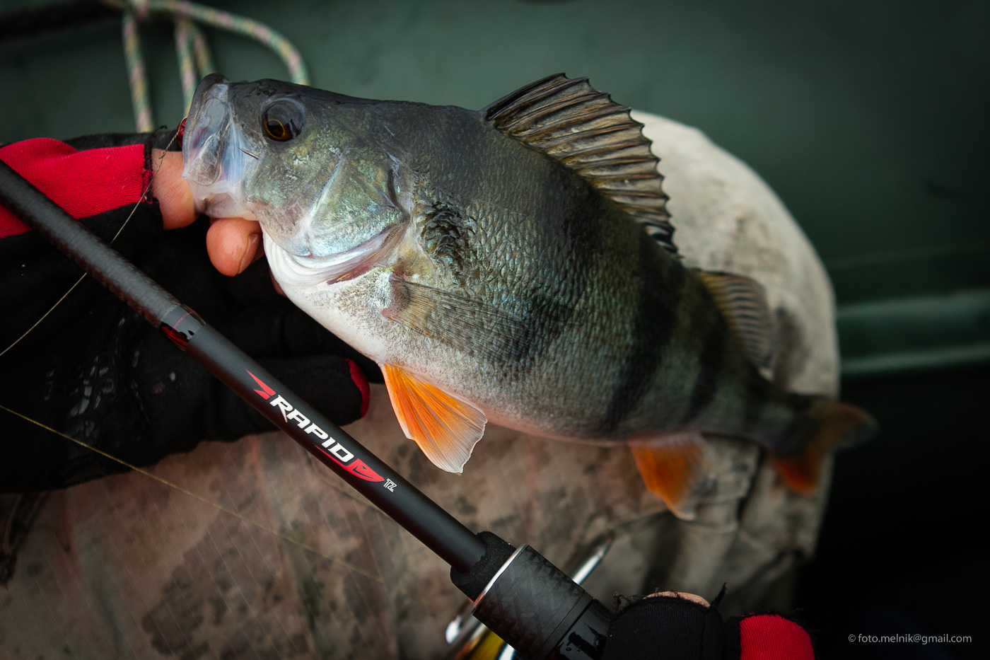 Спиннинг FAVORITE RAPID