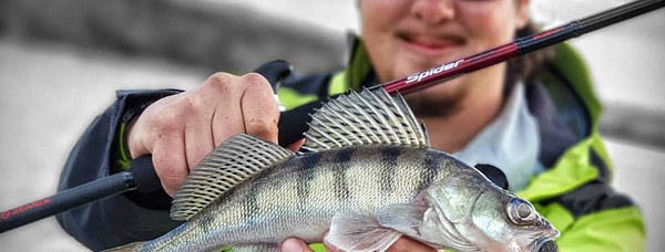 Спиннинг ZEMEX SPIDER Z-10