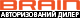 Brain