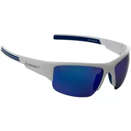 Окуляри Select SPS3-SWB-BR поляризаційні, фото 
