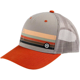 Кепка Brain Rainbow 56 ц:brown, фото 