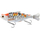 Воблер Savage Gear 3D Hard Pulsetail Roach SS 135mm 40.0g Koi Carp, Размер/Вес: 135мм/40г, Цвет воблера: Koi Carp, фото 