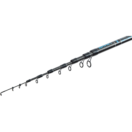 Болонське вудлище Brain Scout Neo Bolo 5800 5.75m 50-120g (телескопічне, з кільцями) + чохол та захист на кільця, Довжина: 5.75m, фото , изображение 3