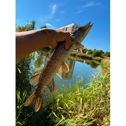 Спінінг Select Force FRC-862H 2.65m 12-42g Fast, Модель: 2.65m 12-42g, фото , изображение 3