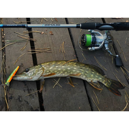 Спиннинг Favorite Impulse TZ IMPTZ-682UL-S 2.07m 2-8g Ex-Fast, Модель: 2.07m 2-8g, фото 