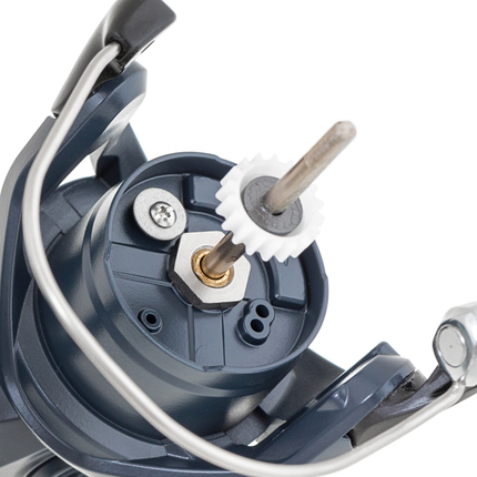 Котушка Shimano Catana 2500 FE, Розмір шпулі: 2500, фото , изображение 5