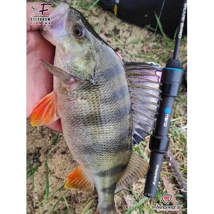 FAVORITE:: Спінінг Favorite Blue Bird Nano BB1-602N-S 1.83m 0.2