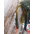 Силикон Reins Curly Curly 4" 565 Motor Oil Green Flake (15 шт/уп.), Длина силикона: 4.0" (10,16 см), Расцветка силикона: 565 Motor Oil Green Flake, фото , изображение 4