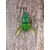 Воблер цикада Savage Gear 3D Cicada F 33mm 3.5g Green, Розмір/Вага: 33мм/3.5г, Колір воблера: Green, фото , изображение 7