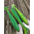 Силікон Keitech Swing Impact FAT 6.8" (3 шт/уп),, колір: ea#11 lime chartreuseglow, Довжина силікону: 6.8" (17.3 см), Колір силікону: EA#11 Lime ChartreuseGlow, фото , изображение 9