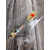 Тейл-спінер Savage Gear 3D Sticklebait Tailspin 80mm 18.0g Brown Trout Smolt, фото , изображение 4