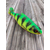 Воблер Savage Gear 3D Hard Pulsetail Roach SS 135mm 40.0g Firetiger, Размер/Вес: 135мм/40г, Цвет воблера: Firetiger, фото , изображение 9