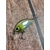 Воблер ZipBaits Hickory SR, 34mm 3.2g #820HM (0.6-1.0), Размер/Вес: 34mm/3.2g, Цвет воблера: #820HM, фото , изображение 4