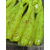 Силикон Keitech Swing Impact 2" (12 шт/упак), цвет: pal#01 chartreuseredflake, Длина силикона: 2" (5.1 см), Расцветка силикона: PAL#01 Chartreuse Red Flake, фото , изображение 6