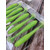 Силікон Keitech Swing Impact FAT 2.8" (8 шт/упак), колір:ea#11 limechartreuseglow, Довжина силікону: 2.8" (7.1 см), Колір силікону: EA#11 Lime Chartreuse Glow, фото , изображение 6