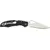 Ніж Spyderco Byrd Cara Cara 2, 8Cr13MoV, G-10 к:black, фото , изображение 3