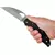 Ніж Spyderco Byrd Cara Cara 2 Wharncliffe, к:black, фото 