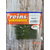 Силикон Reins G-Tail Saturn Micro 2" 001 Watermelon Seed (20шт/уп), Длина силикона: 2.0" (5,08 см), Расцветка силикона: 001 Watermelon Seed, фото , изображение 2