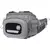 Сумка на пояс Favorite Streamside Hip Pack Large gray, фото 