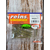 Силікон Reins G-Tail Saturn Micro 2" L13 Electric Shad Ⅱ (16шт/уп), Довжина силікону: 2.0" (5,08 см), Колір силікону: L13 Electric Shad, фото , изображение 2
