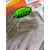 Силікон Reins G-Tail Saturn Micro 2" L13 Electric Shad Ⅱ (16шт/уп), Довжина силікону: 2.0" (5,08 см), Колір силікону: L13 Electric Shad, фото , изображение 5