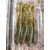 Силикон Keitech Easy Shiner 3.5" ц:414 green pumpkin pp.shad, Длина силикона: 3.5" (8.9 см), Расцветка силикона: 414 Green Pumpkin PP.Shad, фото , изображение 7